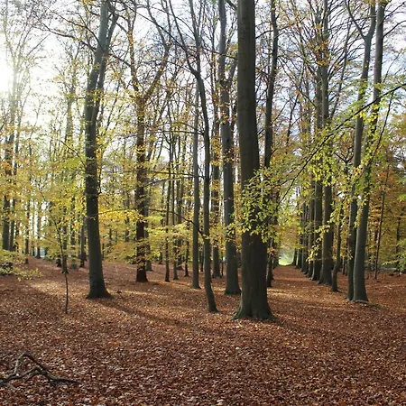 Apartment Auf Gut Sautmannshausen Haselunne